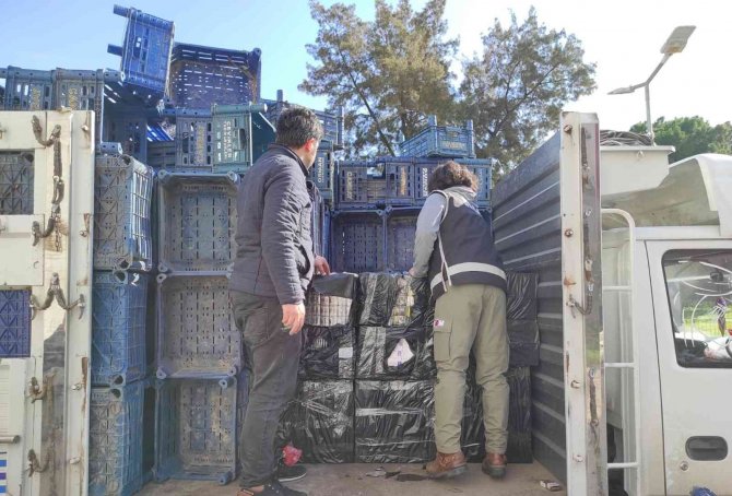 Meyve-sebze Kasası Taşıyan Kamyondan 17 Bin 450 Paket Kaçak Sigara Çıktı
