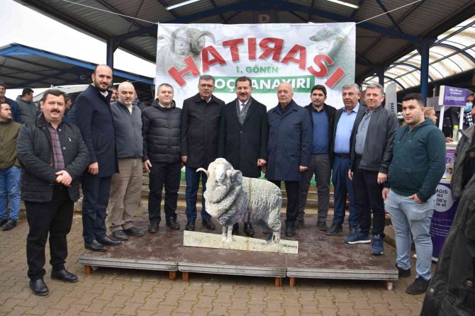 Koçlar Gönen’de Panayırda Boy Gösterdi