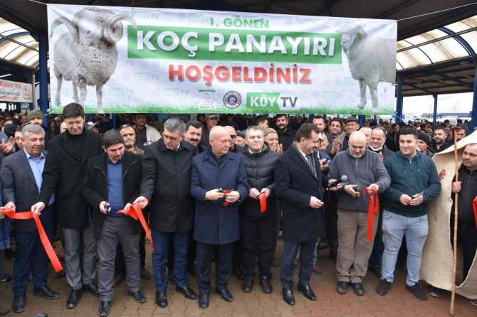 Koçlar Gönen’de Panayırda Boy Gösterdi