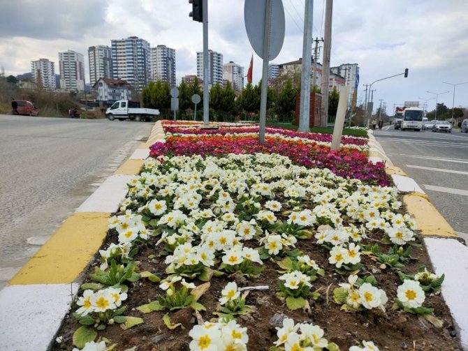 Ordu Çiçeklerle Süslendi