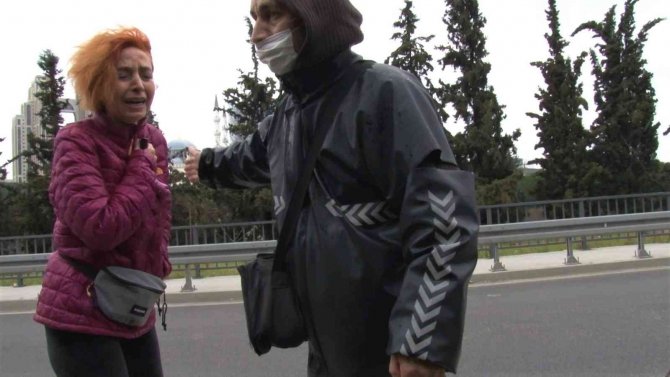 Ataşehir’de Otomobiliyle Kediye Çarpan Sürücü Gözyaşlarına Boğuldu