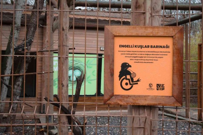 Engelli Kuşlar Ormanya’nın Misafiri