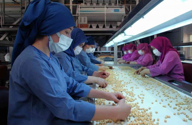 Fındıkta Kadın Emeği