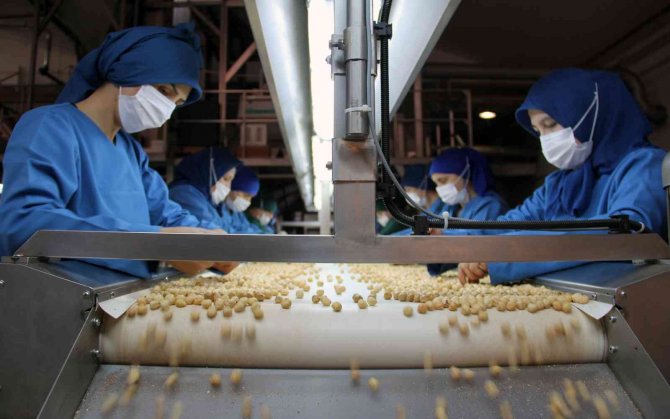 Fındıkta Kadın Emeği