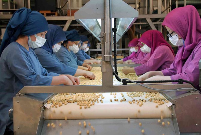 Fındıkta Kadın Emeği