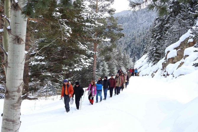 Gümüşhaneli Dağcılar Kadınlar İçin Yürüdü
