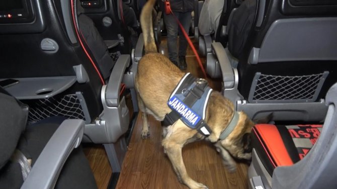 Narkotik Köpeği ’Tepe’ Uyuşturucu Madde Buldu