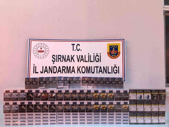 Şırnak’ta Kaçakçılık Ve Asayiş Operasyonu: 99 Gözaltı