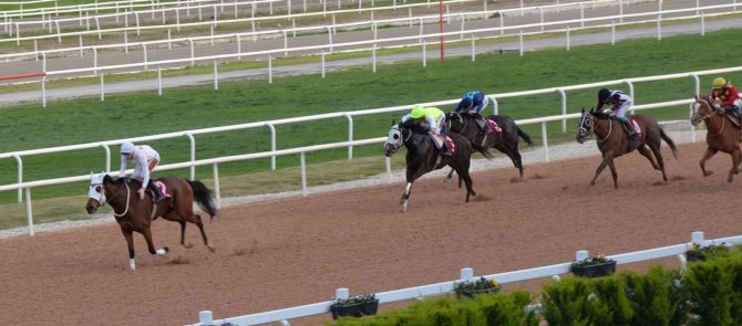Tsyd Kupası "Bebesha"nın