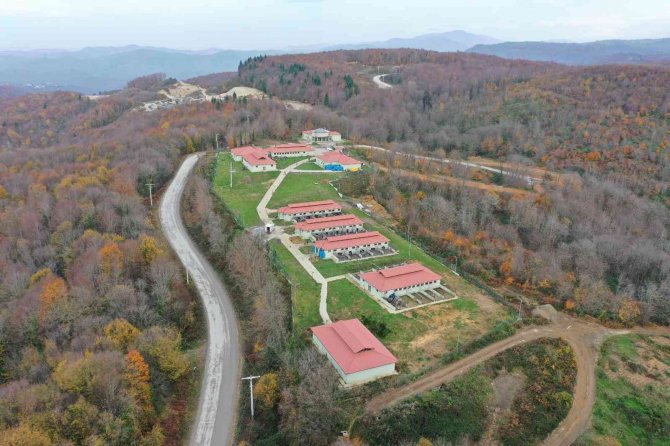 Bolu’daki Görüntülere Başkan Özlü Duyarsız Kalmadı