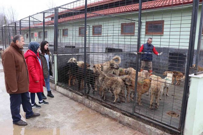 Bolu’daki Görüntülere Başkan Özlü Duyarsız Kalmadı
