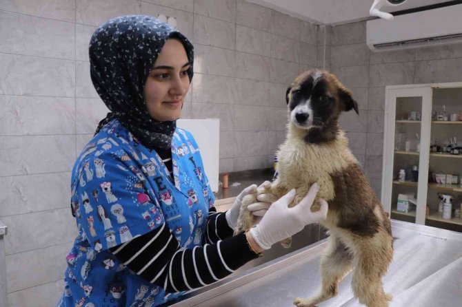Bolu’daki Görüntülere Başkan Özlü Duyarsız Kalmadı