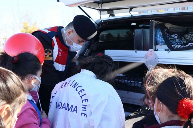 Öğrenciler Jandarmadan Hem Eğitim Aldı Hem Eğlendi