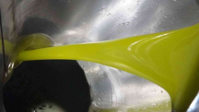 Ayçiçeğine İnat Yerli Üretim Zeytinyağı Fiyatını Koruyor