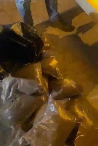 11 Kilo Bonzai Böyle Yakalandı