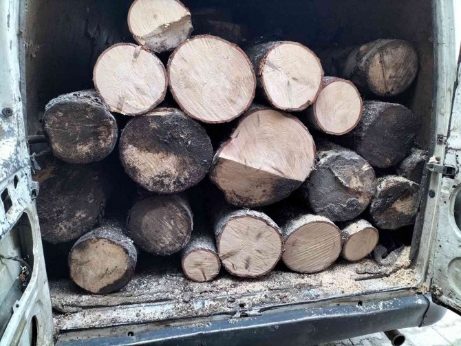 Ormandan Kaçak Tomruk Kesen Kişi Fotokapana Yakalandı