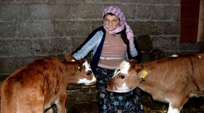 Yalova’da Suni Tohumlama Projesi Meyvelerini Vermeye Başladı