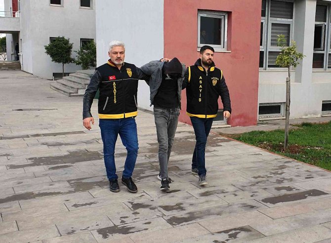 Narenciye Hırsızları Yakalandı