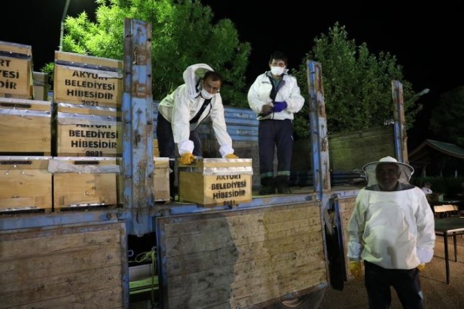 Akyurt’ta Çiftçilere Sebze Fidesi Ve Arılı Kovan Dağıtımı Başlıyor
