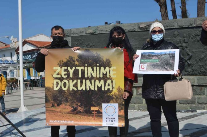 Ayvalık’ta “Zeytin Ağacı” Eylemi