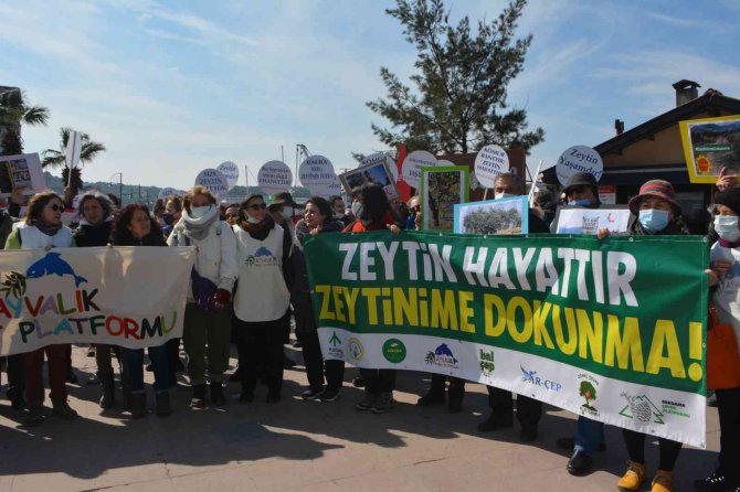 Ayvalık’ta “Zeytin Ağacı” Eylemi