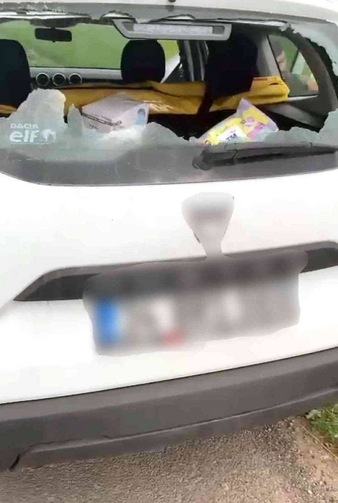 Kaçak Kontrolü Yapan Dicle Elektrik Çalışanlarına Saldırı: Bir Çalışan Bacağından Isırıldı