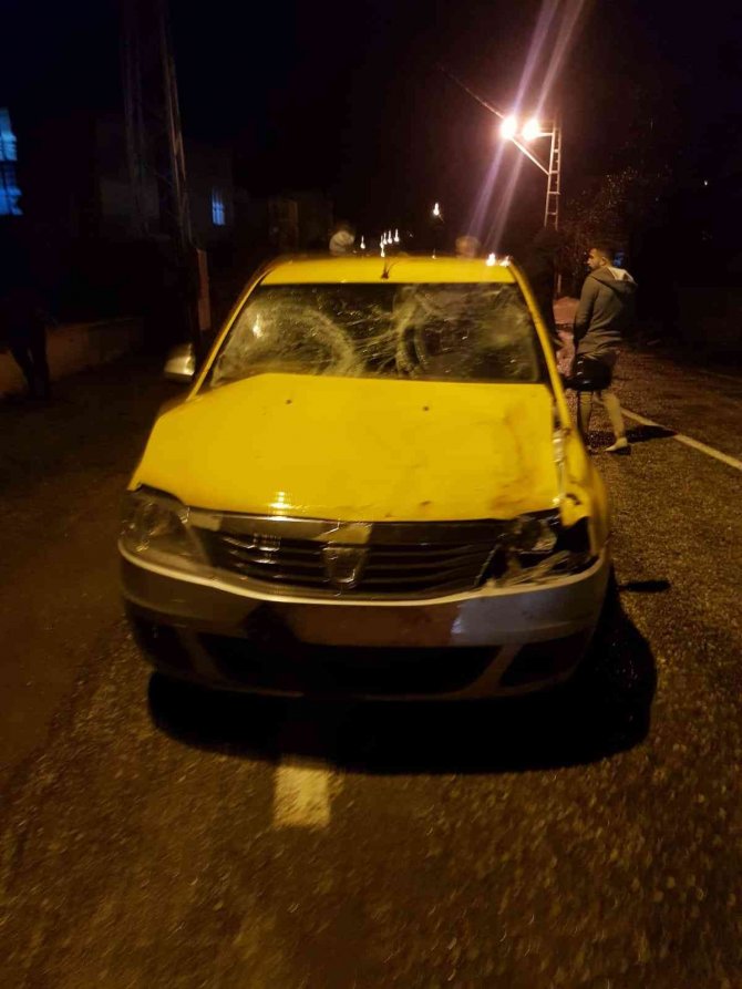 Türkeli’de Ticari Taksi, Yola Fırlayan Başıboş Ata Çarptı