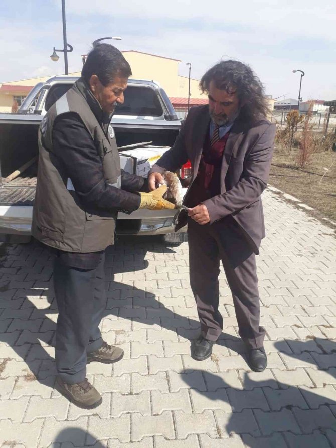 Yaralı Bahri Kuşu Tedavi Altına Alındı