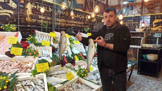 Siirtli Balıkçılar Balığa İlgiden Memnun