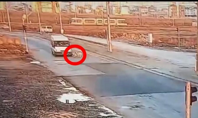 Yaralı Köpeğe Akıl Almaz Muamele