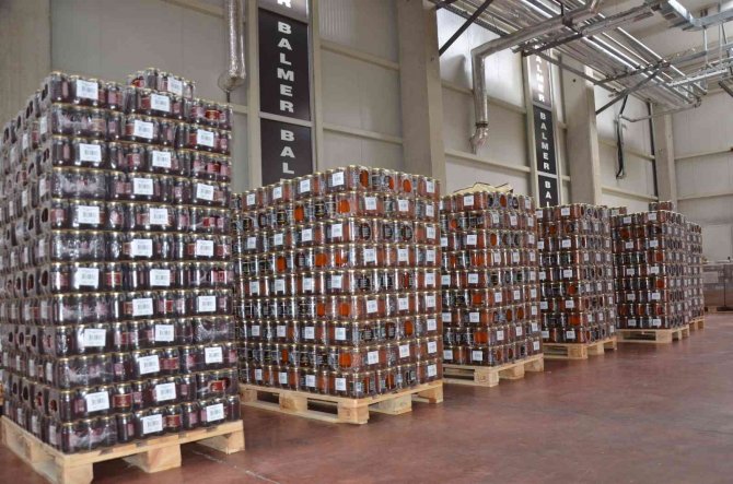 Alman Ve İ̇ngiliz’e Türk Balı