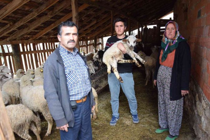 Heyelan Oturdukları Evi Tehdit Ediyor