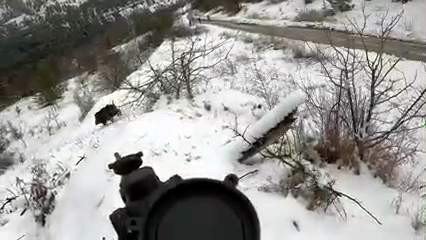 Yiyecek Arayan Tilkiyi Yemeğe Davet Etti