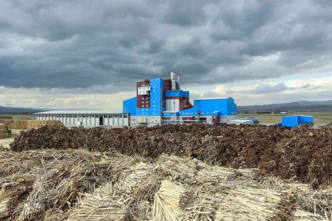 Enerjide Biyokütle Avantajı