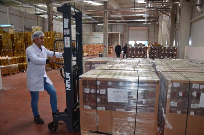 Alman Ve İ̇ngiliz’e Türk Balı