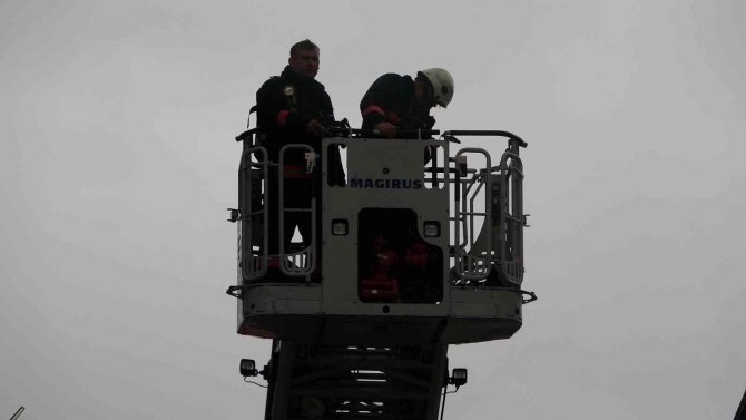 Ordu’da Baca Yangını Paniğe Neden Oldu