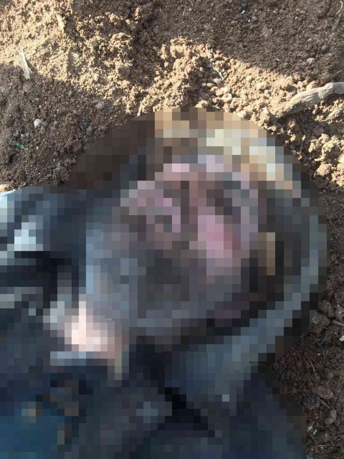 Polisi Şehit Eden Zanlı Etkisiz Hale Getirildi