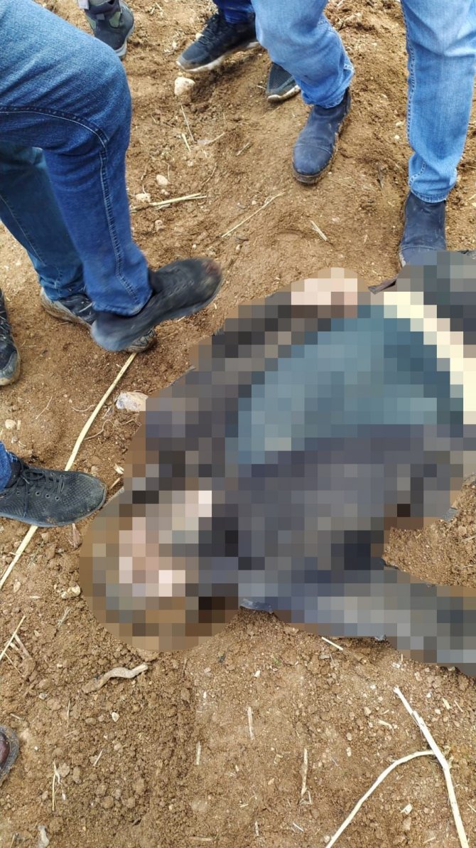 Polisi Şehit Eden Zanlı Etkisiz Hale Getirildi