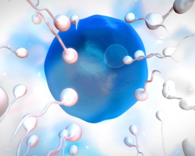 Sperm Azlığı Baba Olma İhtimalini Düşürüyor