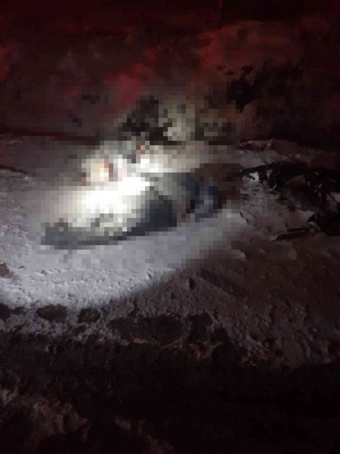 Ticari Araç, Kar Küreme Aracıyla Çarpıştı: 3 Ölü
