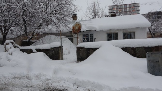 Bitlis’te 162 Köy Yolu Ulaşıma Kapandı