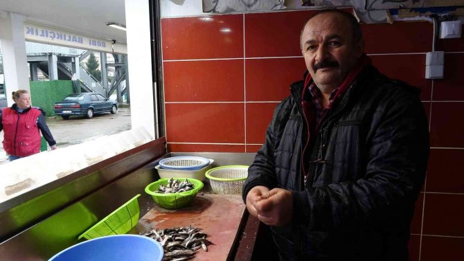 Olumsuz Hava Ve Akaryakıt Fiyatları Balık Tezgahlarına Yansıdı