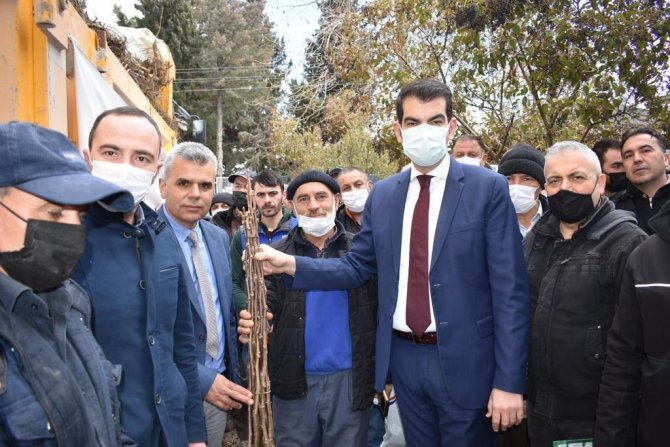 Ceviz Üretim Alanlarını 2 Katına Çıkaracak Projede Fidan Dağıtımları Tamamlandı