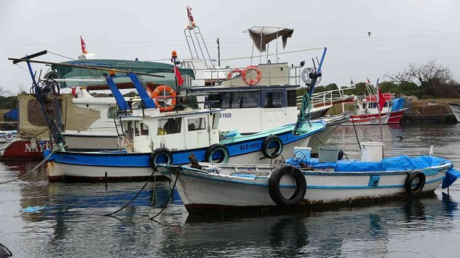 Olumsuz Hava Ve Akaryakıt Fiyatları Balık Tezgahlarına Yansıdı