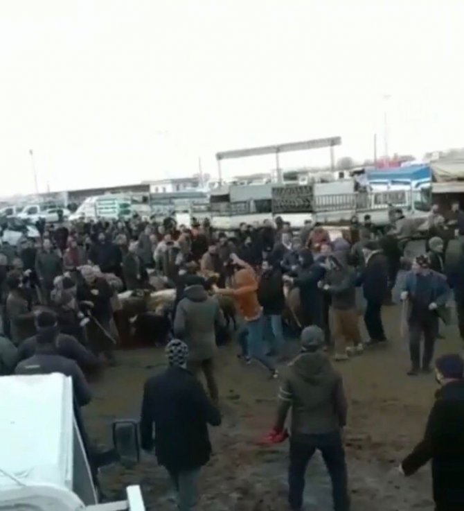 Iğdır Hayvan Pazarında Sopalar Konuştu