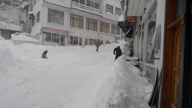 Kastamonu’nun Sahil Kesiminde Yoğun Kar Yağışı
