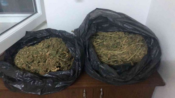 Manisa’da Uyuşturucu Operasyonu: 1 Gözaltı