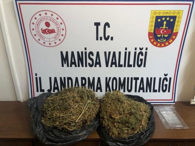 Manisa’da Uyuşturucu Operasyonu: 1 Gözaltı