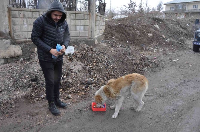Bulanık’ta ‘Bir Kap Bin Cana Dokunur’ Projesi