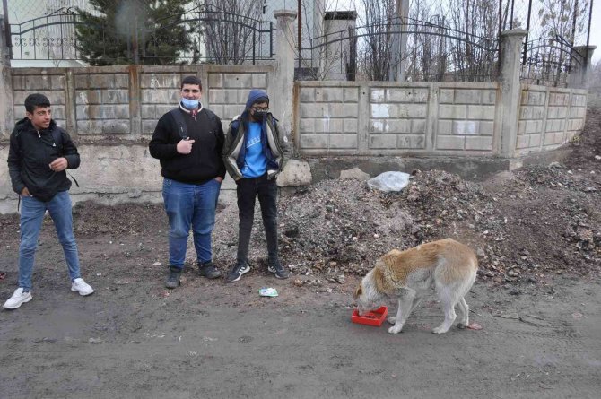 Bulanık’ta ‘Bir Kap Bin Cana Dokunur’ Projesi